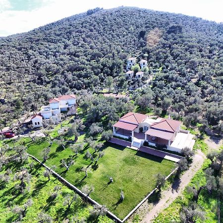 Gera'S Olive Grove - Elaionas Lesvou Hotel Marmaro  Buitenkant foto