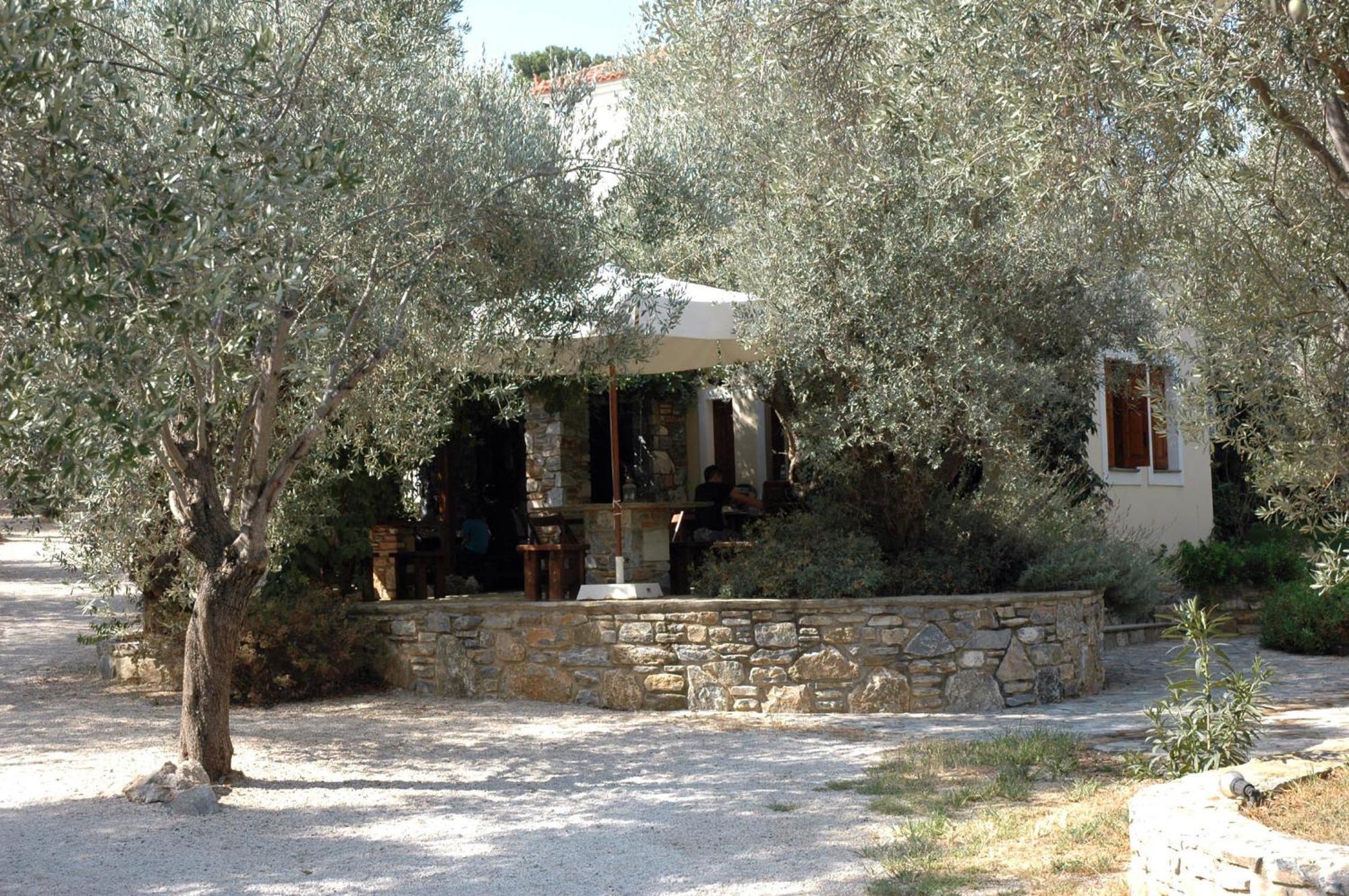 Gera'S Olive Grove - Elaionas Lesvou Hotel Marmaro  Buitenkant foto