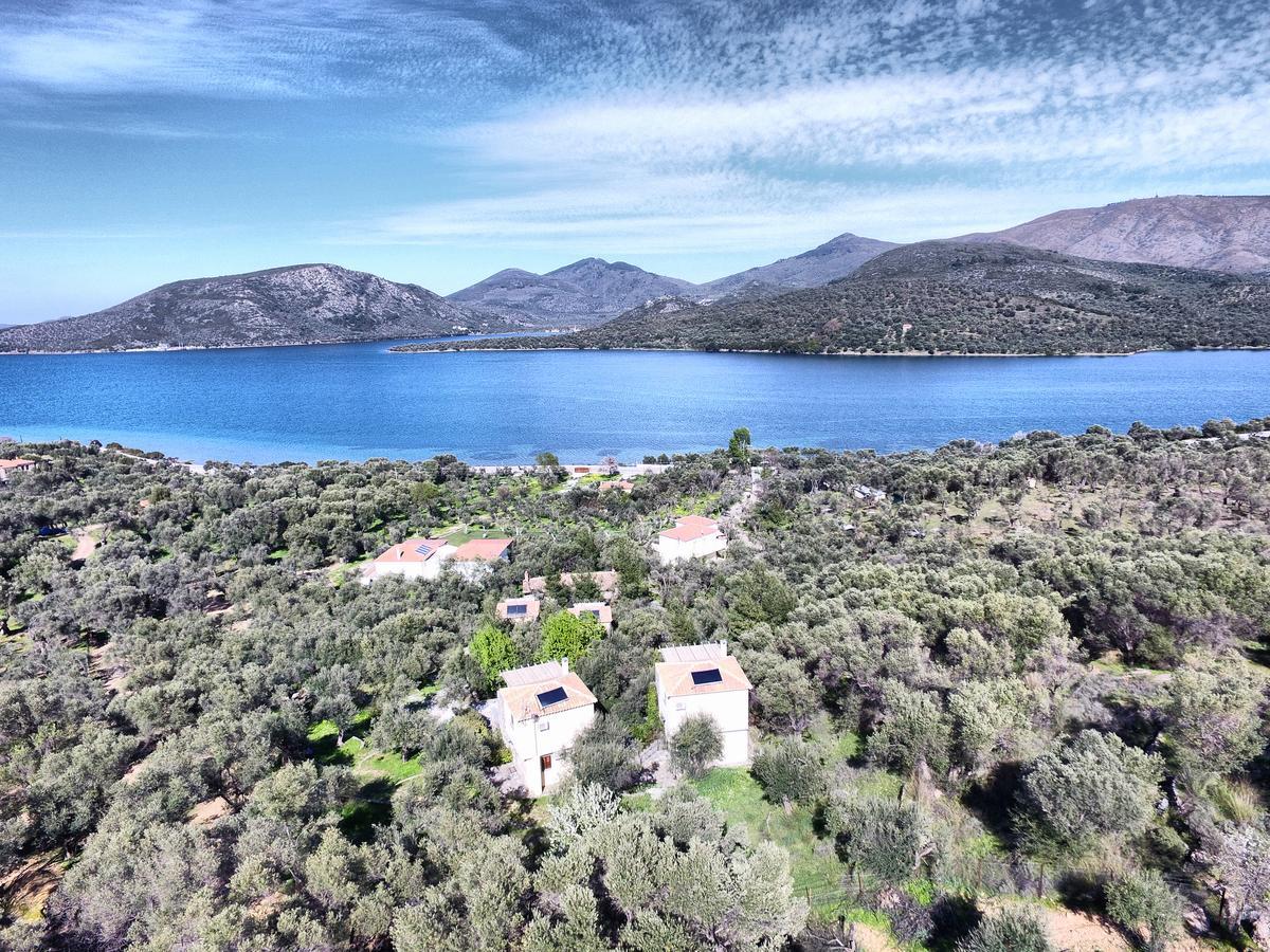 Gera'S Olive Grove - Elaionas Lesvou Hotel Marmaro  Buitenkant foto