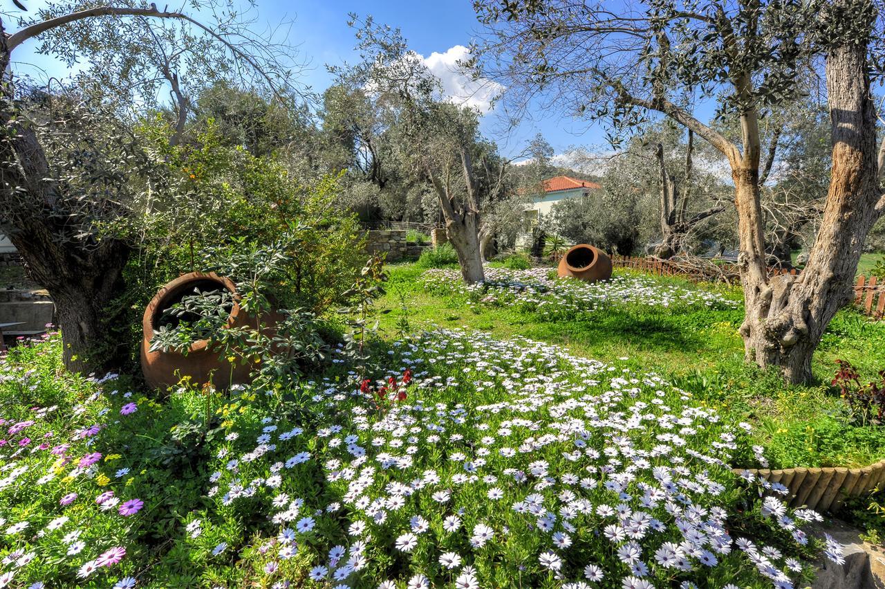 Gera'S Olive Grove - Elaionas Lesvou Hotel Marmaro  Buitenkant foto