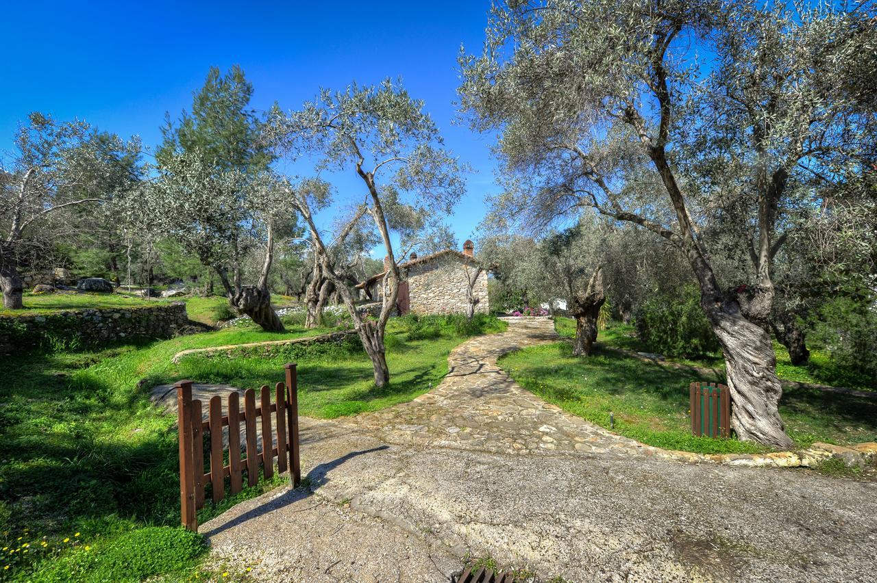 Gera'S Olive Grove - Elaionas Lesvou Hotel Marmaro  Buitenkant foto